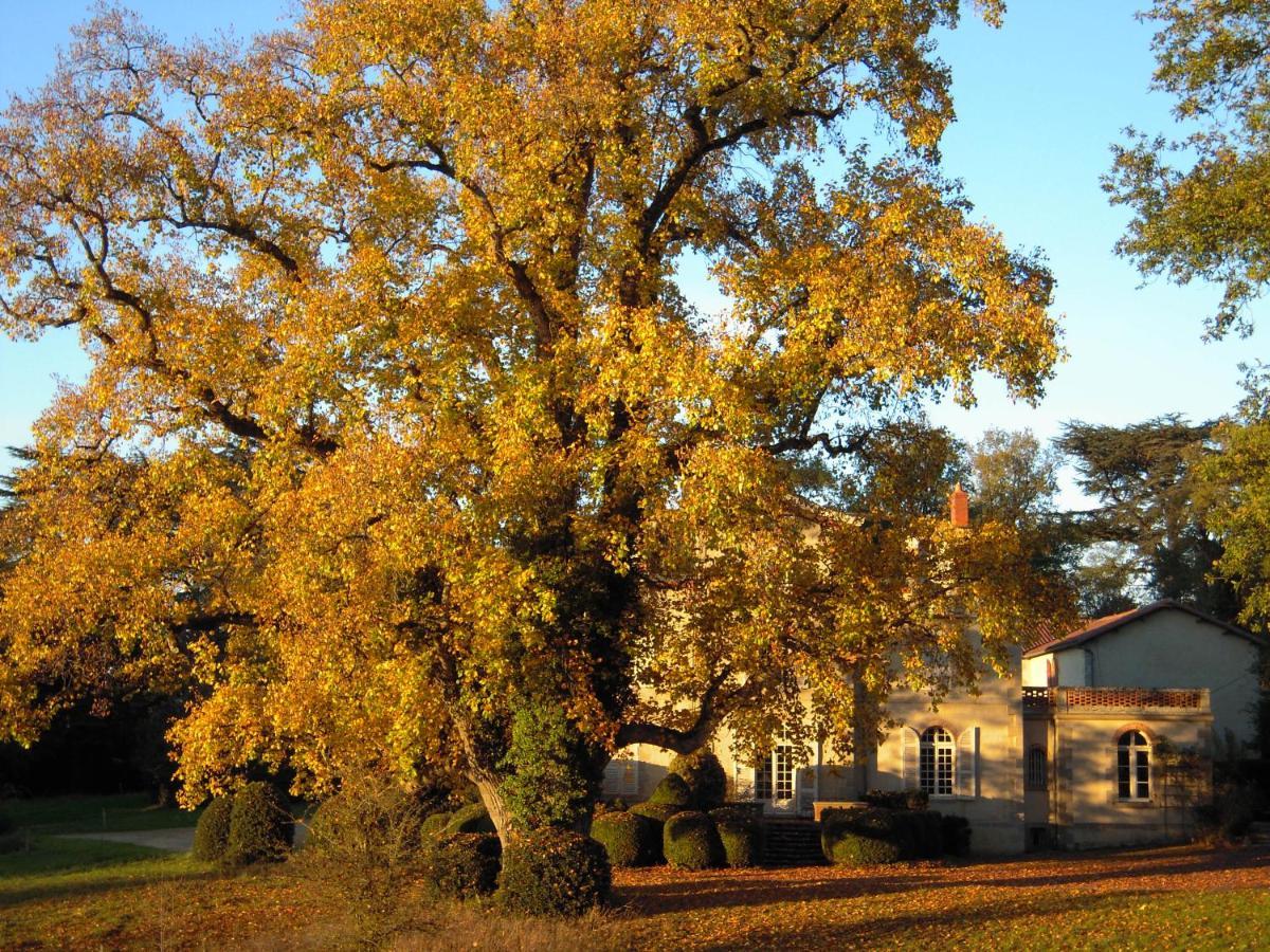Domaine Des Roches Blanches Villa Le Pin  Eksteriør billede