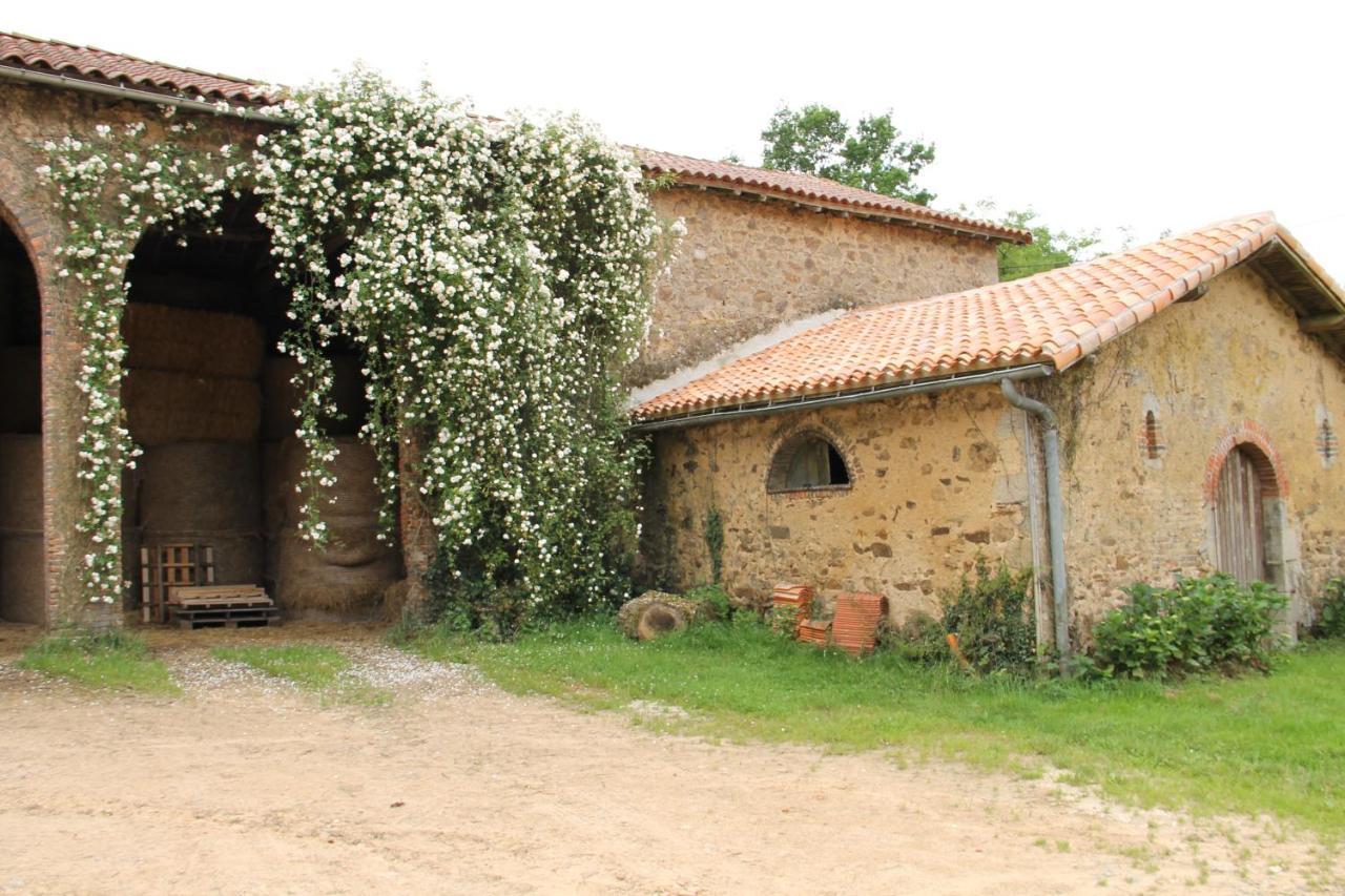 Domaine Des Roches Blanches Villa Le Pin  Eksteriør billede