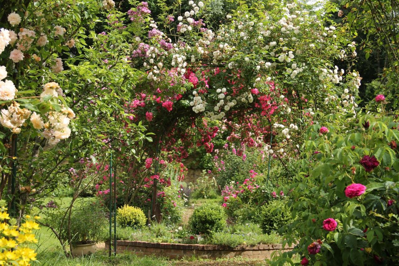 Domaine Des Roches Blanches Villa Le Pin  Eksteriør billede