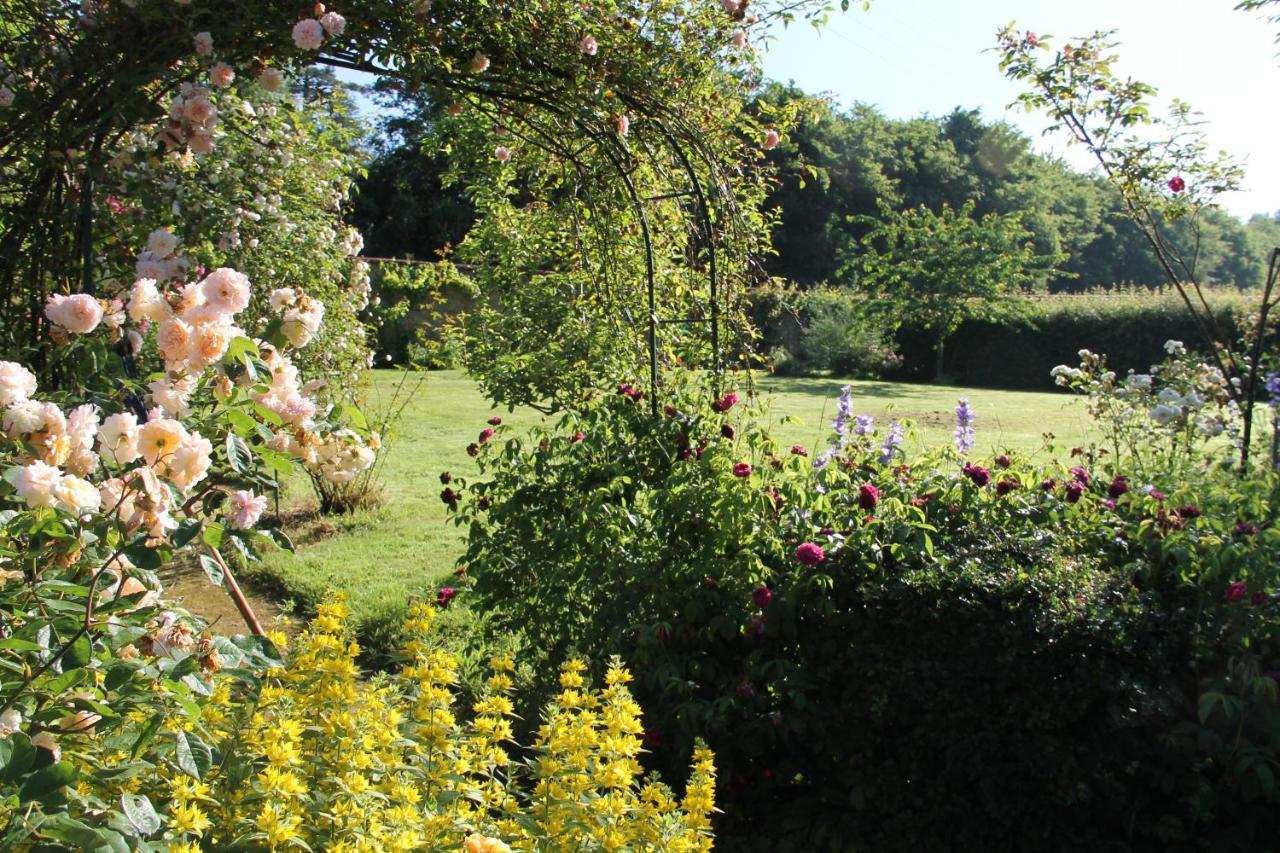 Domaine Des Roches Blanches Villa Le Pin  Eksteriør billede