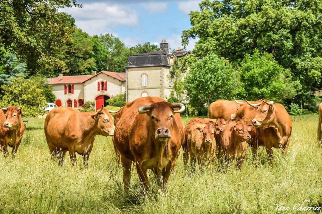 Domaine Des Roches Blanches Villa Le Pin  Eksteriør billede