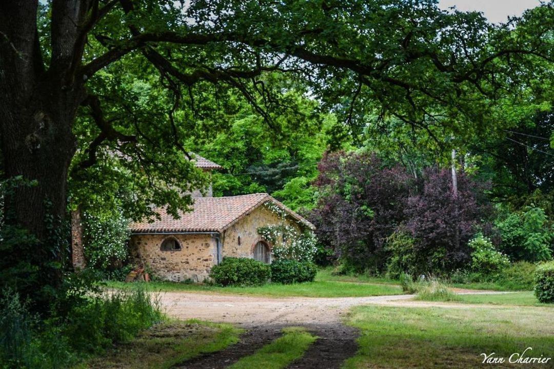Domaine Des Roches Blanches Villa Le Pin  Eksteriør billede
