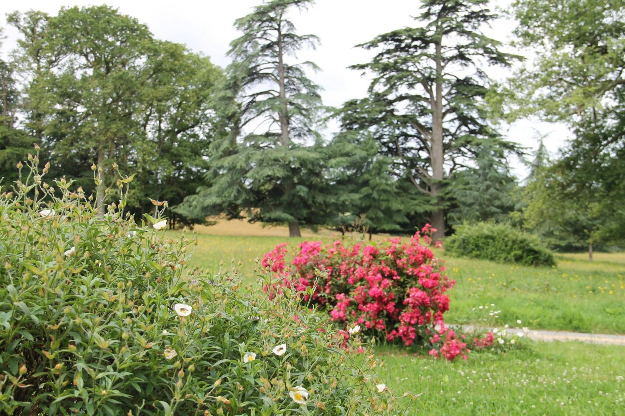 Domaine Des Roches Blanches Villa Le Pin  Eksteriør billede