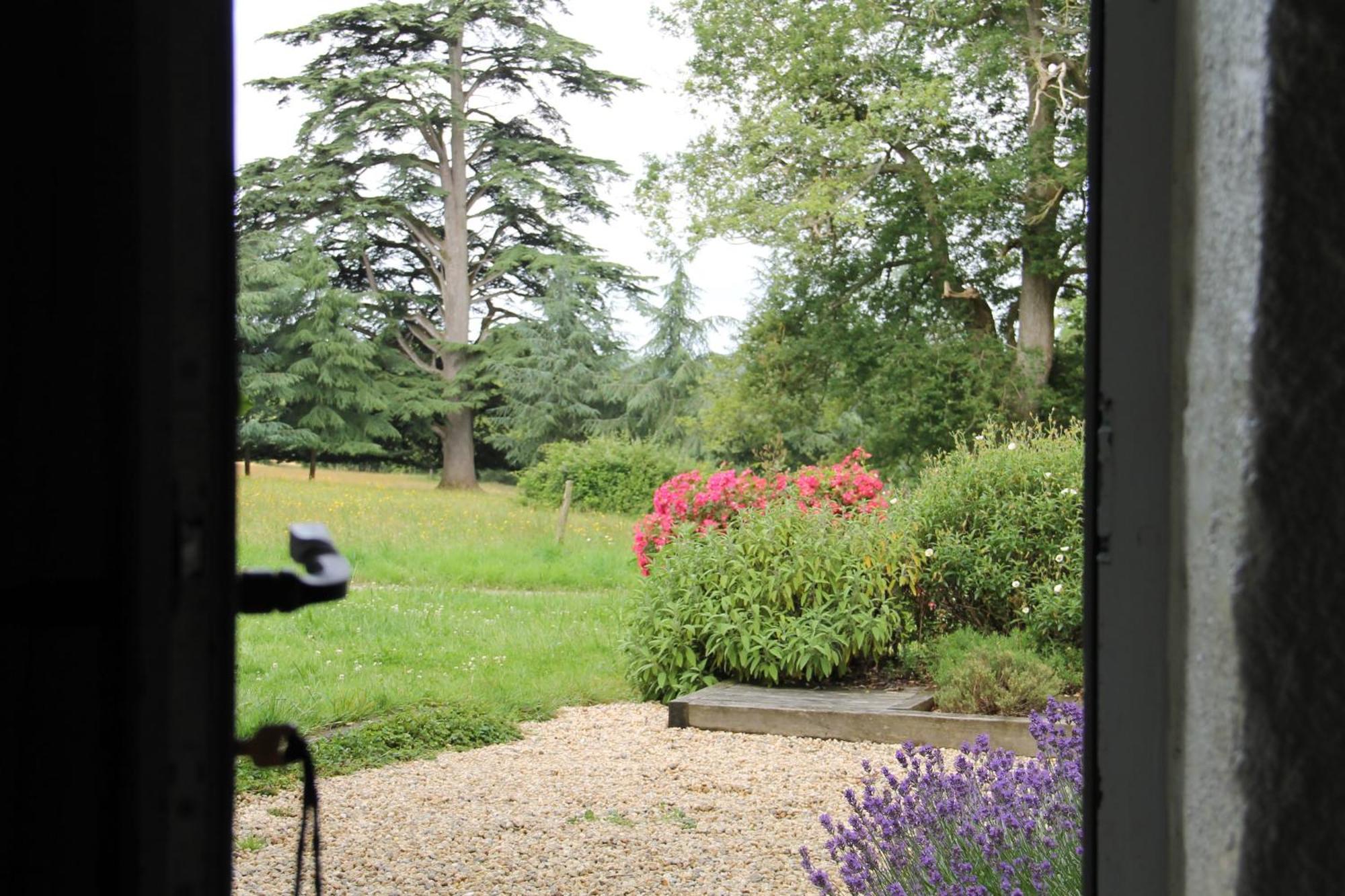 Domaine Des Roches Blanches Villa Le Pin  Eksteriør billede