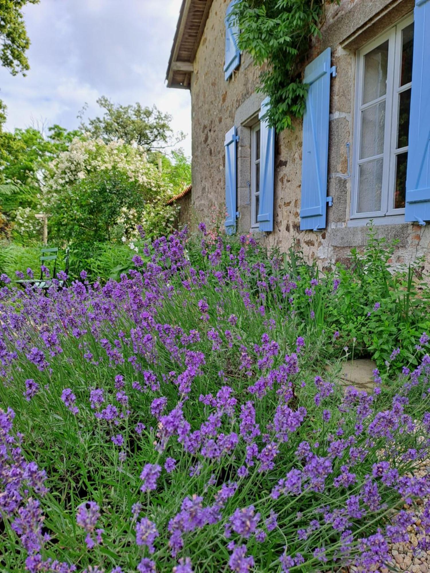 Domaine Des Roches Blanches Villa Le Pin  Eksteriør billede