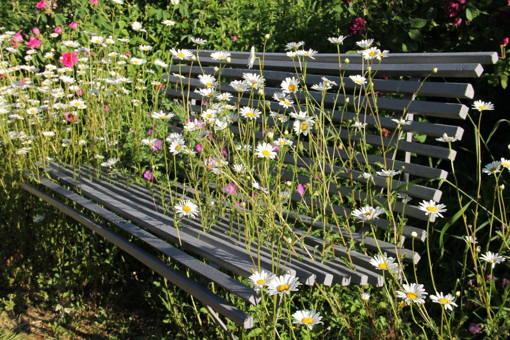 Domaine Des Roches Blanches Villa Le Pin  Eksteriør billede