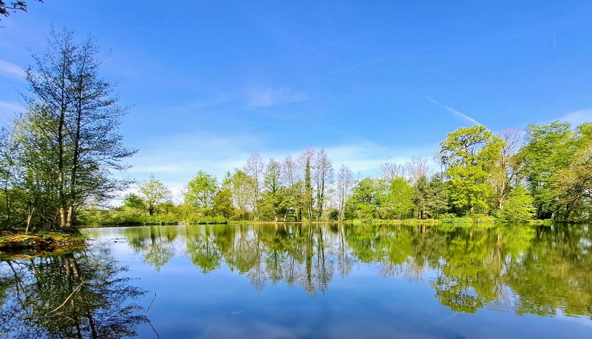 Domaine Des Roches Blanches Villa Le Pin  Eksteriør billede