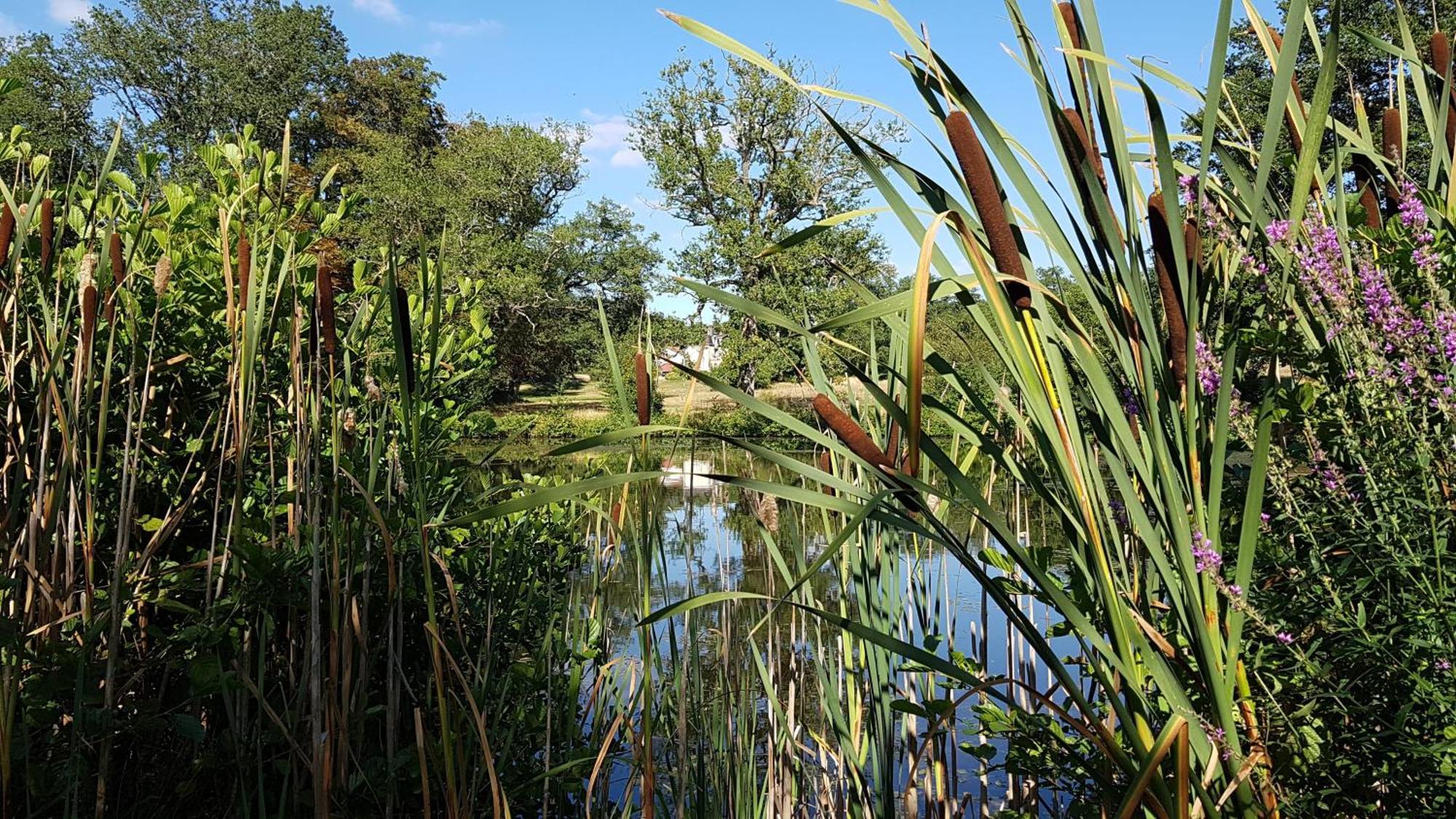 Domaine Des Roches Blanches Villa Le Pin  Eksteriør billede