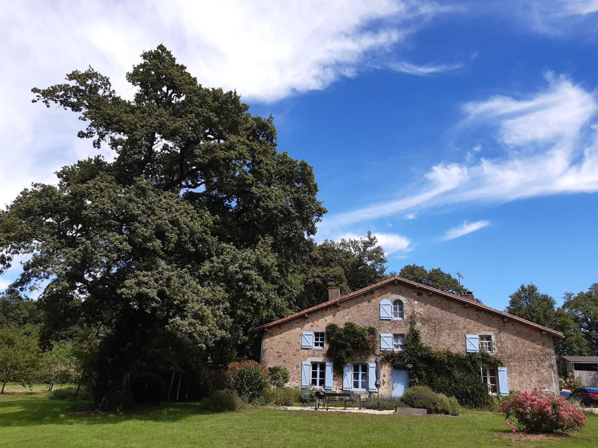 Domaine Des Roches Blanches Villa Le Pin  Eksteriør billede